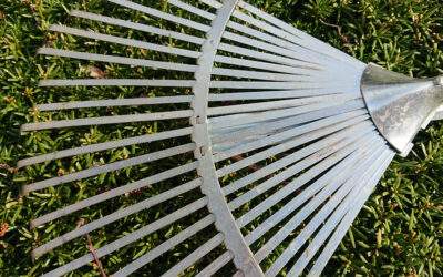 Marketing en het vooruitzicht van lucht